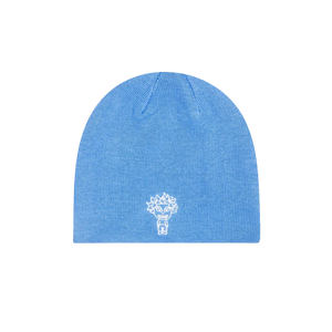 Beanie Blue