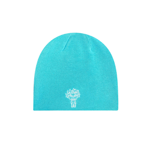 Beanie Turquoise